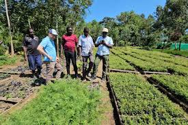 Integration Framework for Advancing Siaya County's Climate Resilient Development